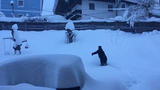 Original Grubert Vogelhaus Vogelfütterung im Winter [upl. by Nauht]