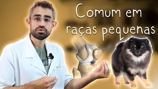 Luxação de patela  Dica Veterinária 81 [upl. by Pren]