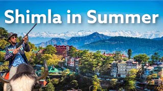 How I explored Shimla in Summer  Complete tour of Shimla  Best Travel Guide for Shimla 2024 [upl. by Asital]