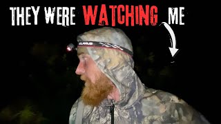 I WAS BEING HUNTED Solo Tarp Camping With 2 Dogs [upl. by Ahsykal]