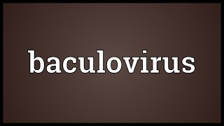 Baculovirus Meaning [upl. by Mattah48]