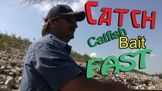 How to catch Skipjack Herring for Catfish bait [upl. by Notirb790]