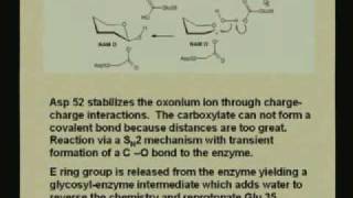 Lecture  10 Enzyme Mechanisms I [upl. by Pape]