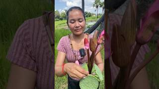 Eating water lily flower siscookingtv flowers eating [upl. by Adnovahs]