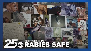 Protect Your Pet Essential Rabies Vaccination Guide [upl. by Zednanref]