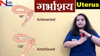 Uterus in Hindi  Female Reproductive System  Nursing Lecture [upl. by Hnib]