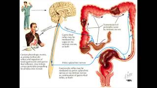 Constipation and the Colon  Mayo Clinic [upl. by Llesram292]