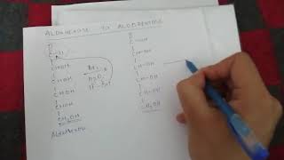 Conversion  Aldohexose To Aldopentose [upl. by Olivier]