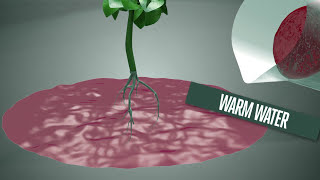 Water temperature for plants too hot too cold  EP01 S1 by CANNA [upl. by Richy]