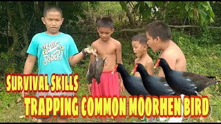 How to trap common moorhen Bird  primitive survival skillscook deliciously in the forest [upl. by Ruvolo]