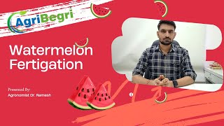 Agribegri Free Advisory  Dr Ramesh  All You Need To Know About Watermelon Fertigation [upl. by Kcirrad]