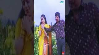 Baalu Pranaya Geethe Video Song  Shubha Milana  Vishnuvardhan Ambika  Kannada Old Songs [upl. by Rockie265]