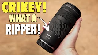 Canon RF 100400mm Review for Bird and Wildlife Photography [upl. by Krik]