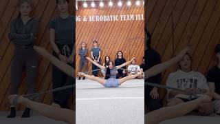 유연성 챌린지⁉️😱 Flexibility Challenge [upl. by Susan]