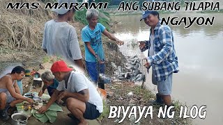 BIYAYA NG ILOG NAPAKA RAMING TILAPIA [upl. by Fabiolas]