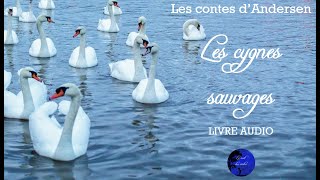 Les cygnes sauvages  Les contes dAndersen Livre Audio [upl. by Carolina109]