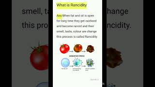 What is Rancidity class 10 chemistry chapter 1 [upl. by Ruffin]