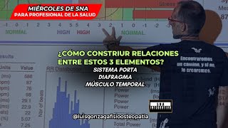 ¿Cómo construir relaciones entre estos 3 elementos Sistema porta diafragma y músculo temporal [upl. by Powers475]