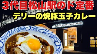 【3代目松山駅】だんだん通りに出来た「えひめしや」で伝説のカレーを食べる！！ [upl. by Nnylear]