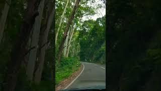 Kodaikanal Road tripkodaikanal hills simplelifepriya [upl. by Airamat]