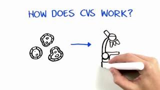 Chorionic Villus Sampling CVS [upl. by Gnaht711]