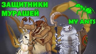 Разведение клещей Hypoaspis miles [upl. by Hoag]