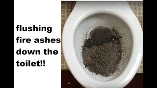 Flushing ashes down the toilet [upl. by Walter]