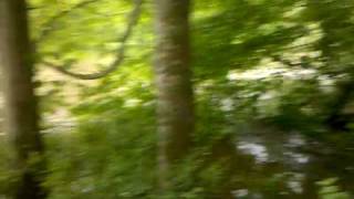 Pasture Flooding from the Barren Fork River McMinnville TN 4210 [upl. by Assirim]