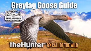 Greylag Goose Guide  Sundarpatan Nepal  theHunter Call of the wild [upl. by Malinde111]