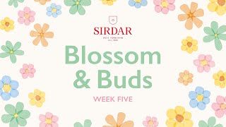 Sirdar Blossom amp Buds Crochet Along Week 5  In Full Bloom [upl. by Kellyn]