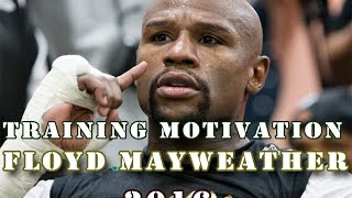 Floyd Mayweather  Training Motivation  2016 [upl. by Samson]