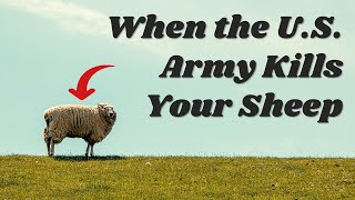 How 6000 Dead Sheep Turned the Public Against Chemical Weapons [upl. by Vicki335]