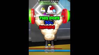 Best Workouts for each part of the body in Roblox Gym League [upl. by Gualtiero]