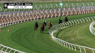 Flemington Jump Outs 11 October 2024 Jump Out 8 [upl. by Eckhardt98]