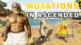 How to Get Mutations in ASA  Breeding amp Stacking Mutations COMPLETE GUIDE ► Ark Survival Ascended [upl. by Seda]