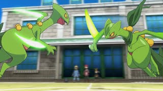 Ashs Sceptile Vs Sawyers Sceptile  Comparison video [upl. by Tamarra]