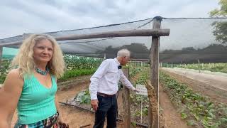 The offgrid Community in Paraguay you never heard of  a great Plan B in Latin America [upl. by Waltner774]