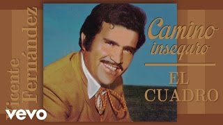 Vicente Fernández  El Cuadro Cover Audio [upl. by Ahsiekal]