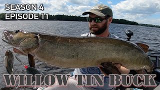 Using WILLOW Blade BUCKTAILS for Catching Muskies CRAZY BOATSIDE STRIKE S4E11 [upl. by Jessy]