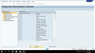 SAP S4HANA FICO Payment Currency PYCUR F110FBZPAUTOMATIC PAYMENT PROGRAM [upl. by Bocaj]