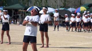 運動会 応援合戦―岐阜聖徳学園大学附属小学校 [upl. by Alracal]