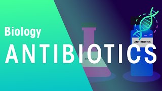 Antibiotics  Health  Biology  FuseSchool [upl. by Micheal506]