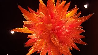 Chihuly Glass and Garden Museum Seattle [upl. by Aisaim]