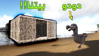 ارك سيرفايفل  بنينا بيت الأحلام وصار عندي حيوان أليف Ark Survival [upl. by Ocsic]