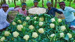 CAULIFLOWER amp MUSHROOM Cooking  Crispy Mushroom 65 and CauliFlower 65 Recipe  Easy Veg Fry Recipes [upl. by Eelrefinnej]