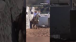 Mimbres Valparaíso  Caballo Rajado telepaisashorts [upl. by Isiah794]