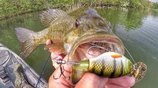 Whopper Ploppin Big Spring Smallies [upl. by Woods652]