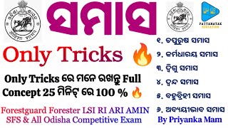 Odia Grammar Samasa Concept Class by PATTANAYAKEDUCATION  Samasa Tricks Class by Priyanka Mam [upl. by Eilis]