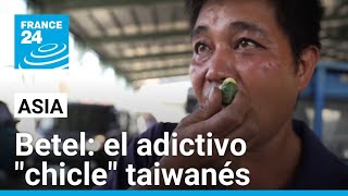 Taiwán la adicción mortal a la nuez de betel [upl. by Breskin]