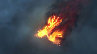 577  The Pheonix Bird Fire Logo reveal animation ashes epic action intro [upl. by Rolyab172]